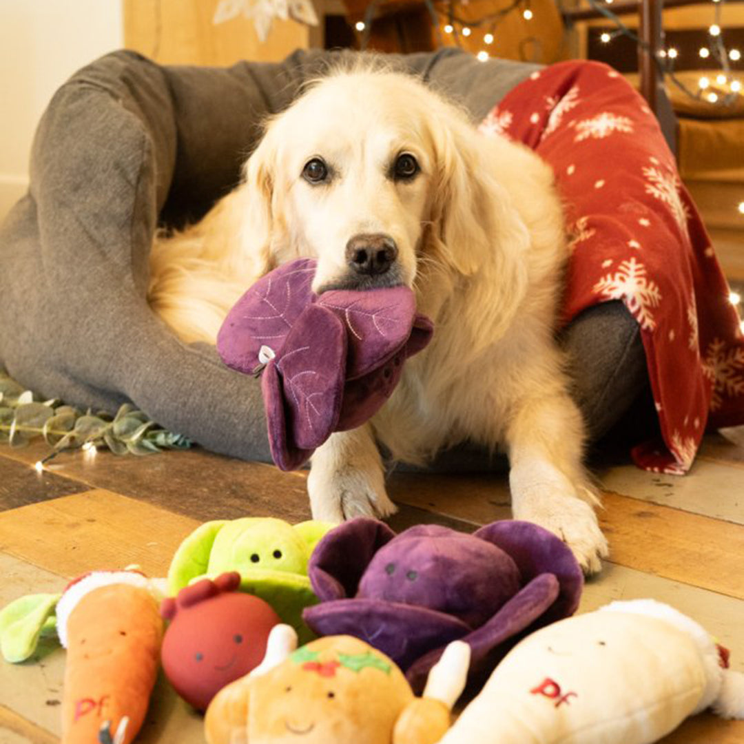 PetFace Foodie Faces Ruby Red Cabbage Plush Dog Toy