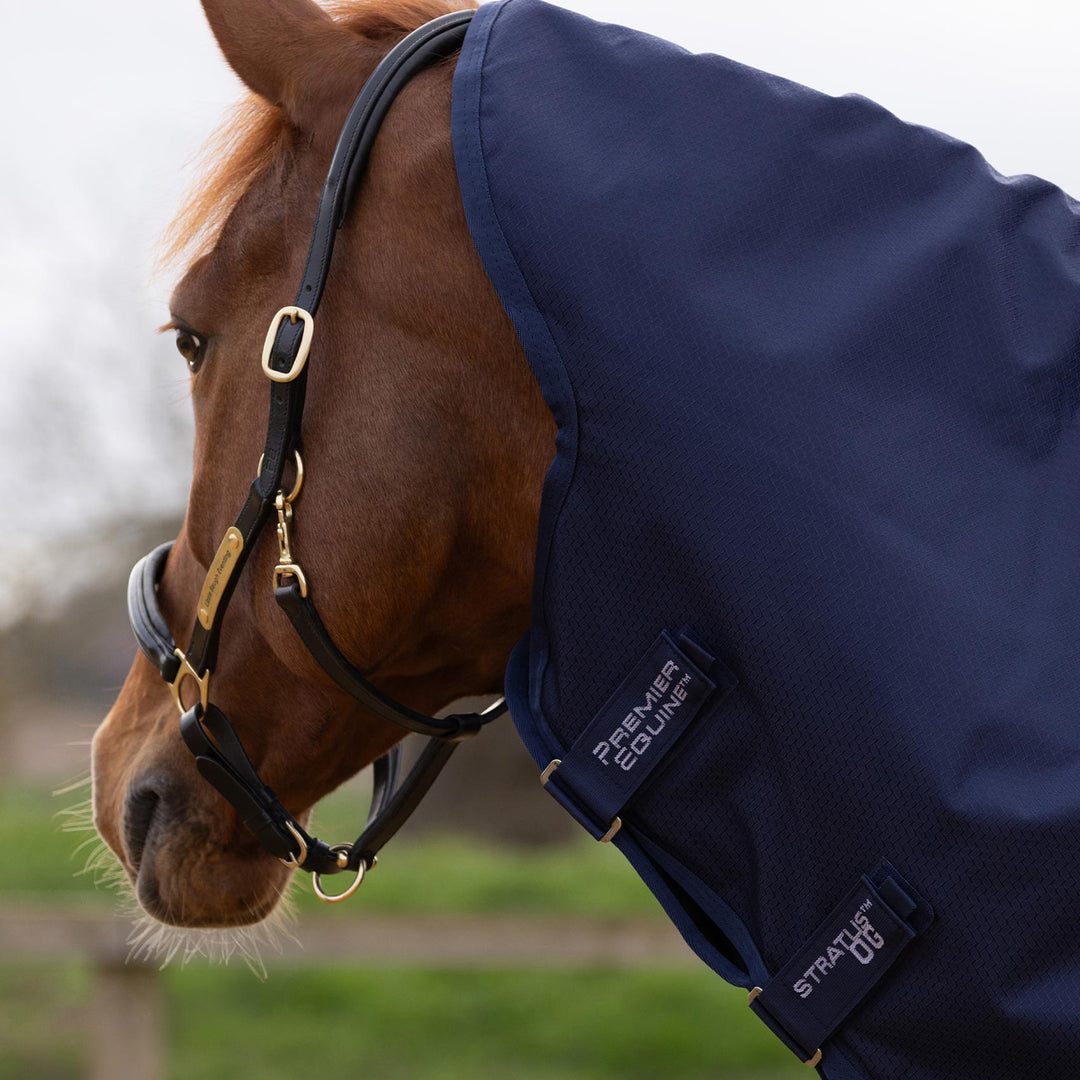 Premier Equine Stratus 600D Series 0g Turnout Rug with Classic Neck Cover