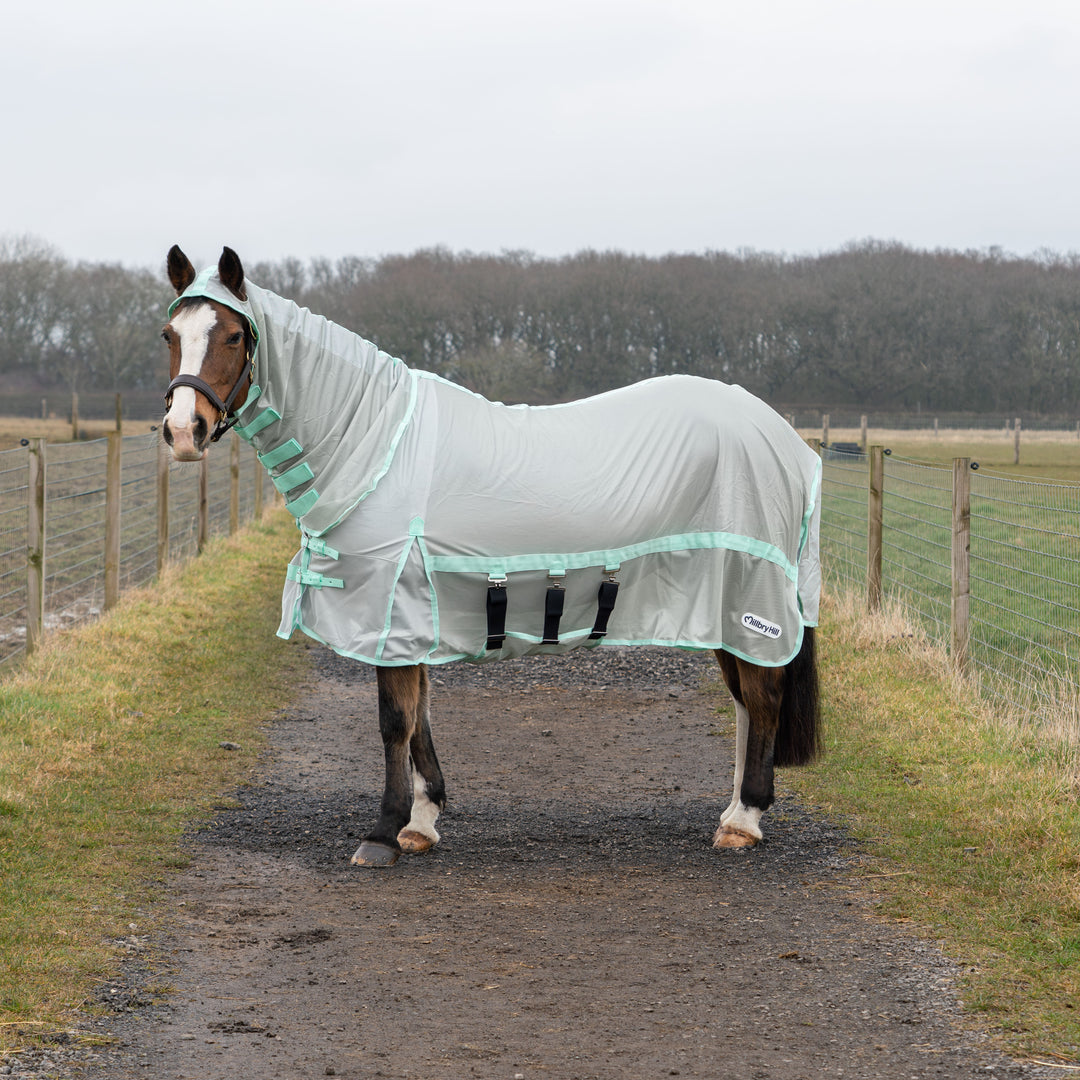 Millbry Hill Pro Fly Rug