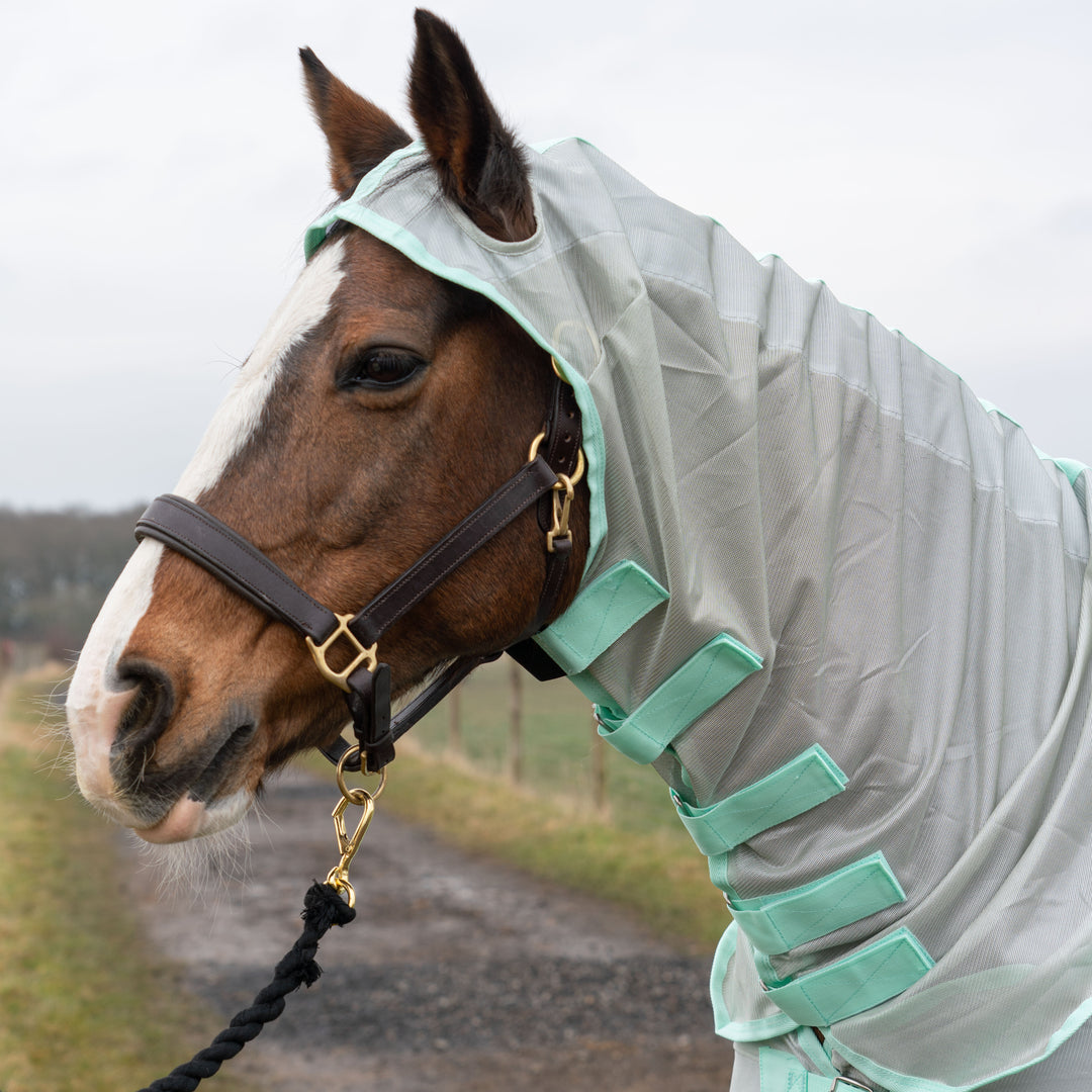 Millbry Hill Pro Fly Rug