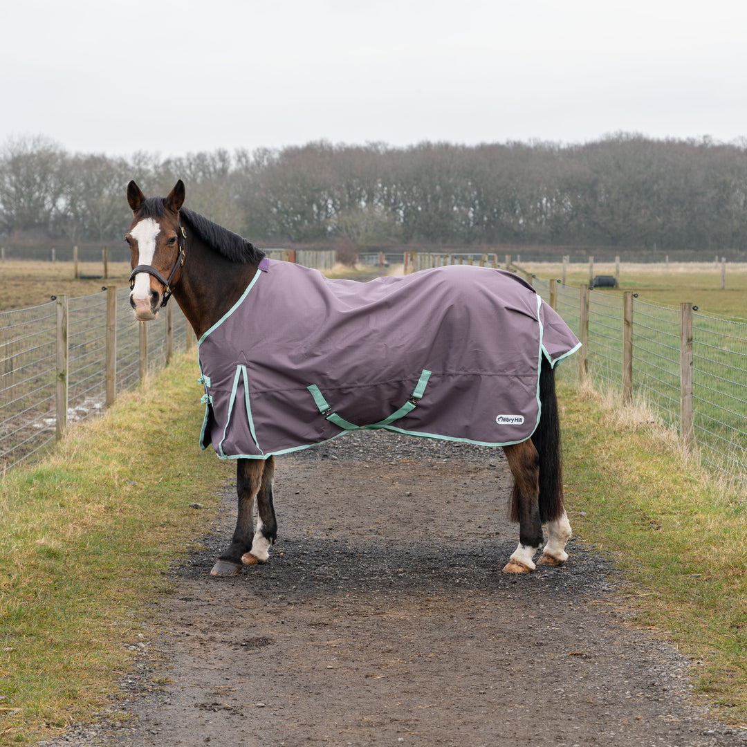 Millbry Hill Pro 0g Standard Turnout Rug