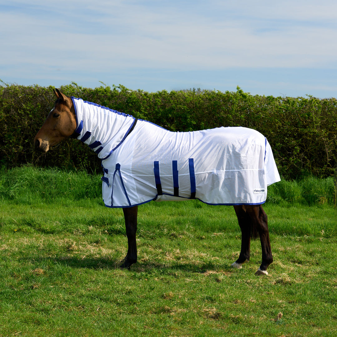 Millbry Hill Classic Fly Rug