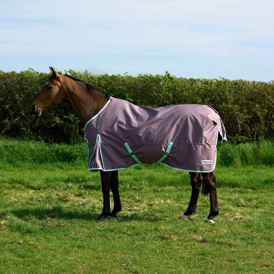 Millbry Hill Pro 0g Standard Turnout Rug