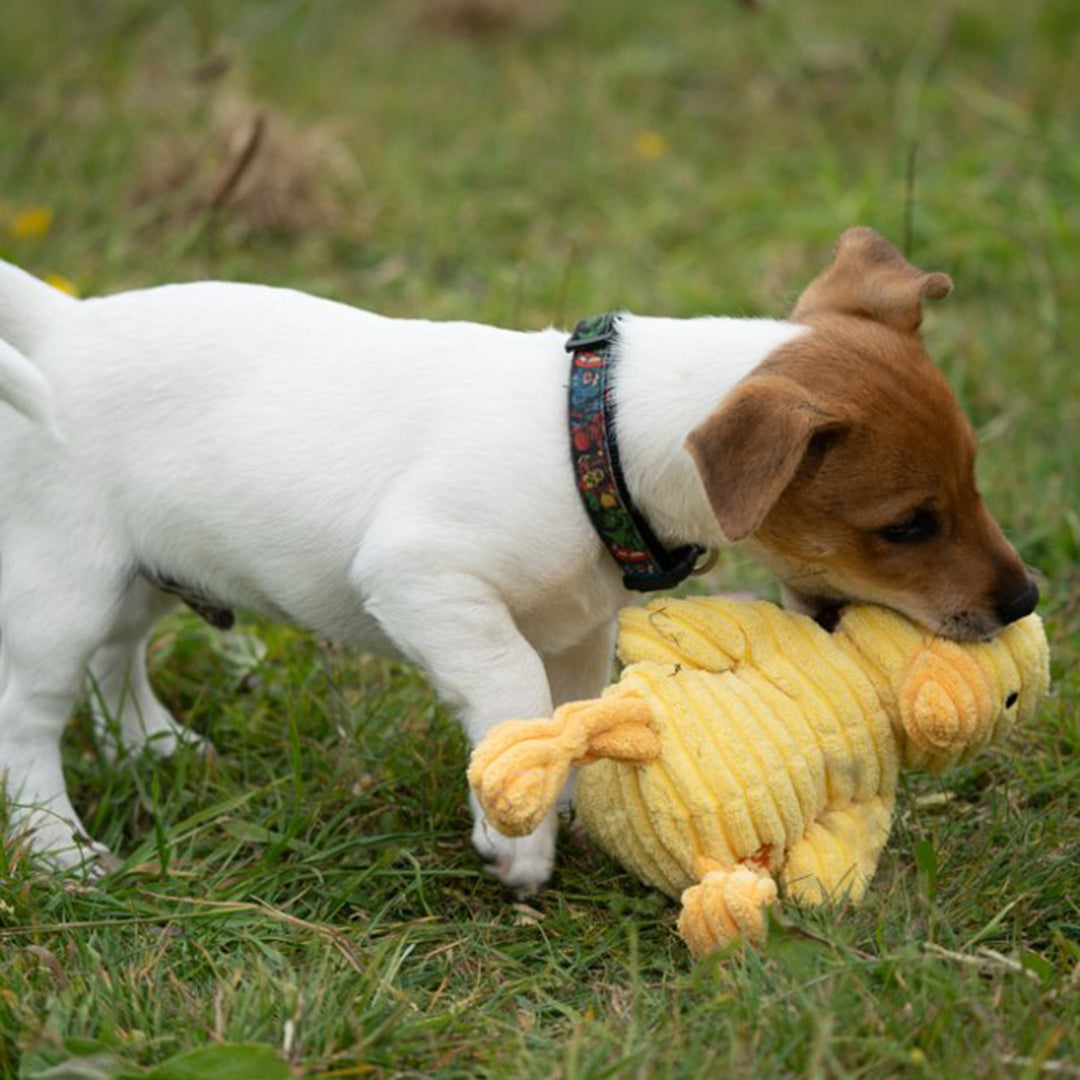 PetFace Little Petface Denny Duckling Plush Dog Toy