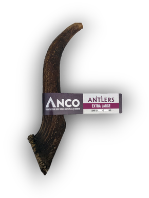 Anco Antlers Dog Chew