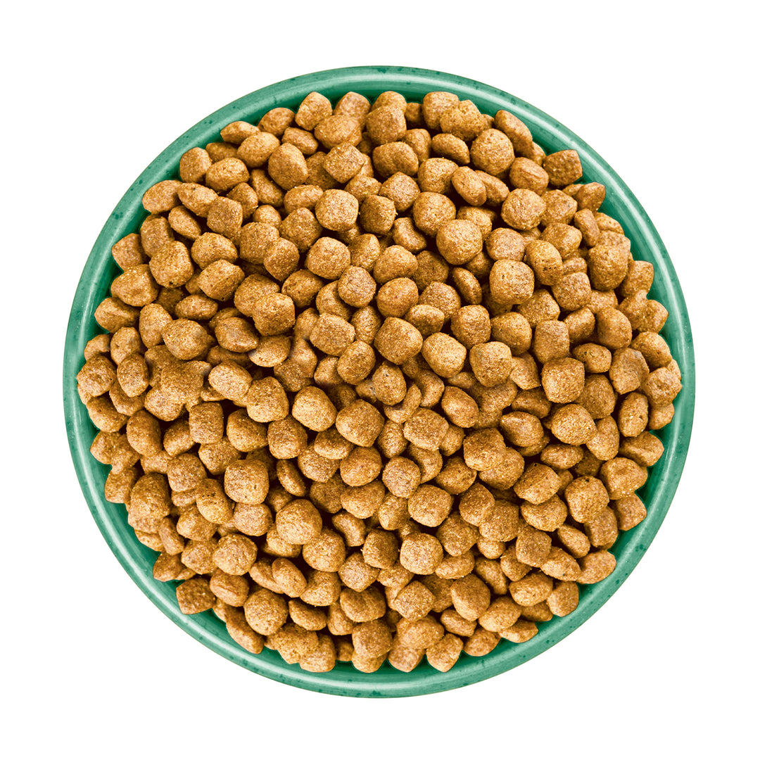 James Wellbeloved Adult Small Breed Turkey & Veg Grain Free Dry Dog Food