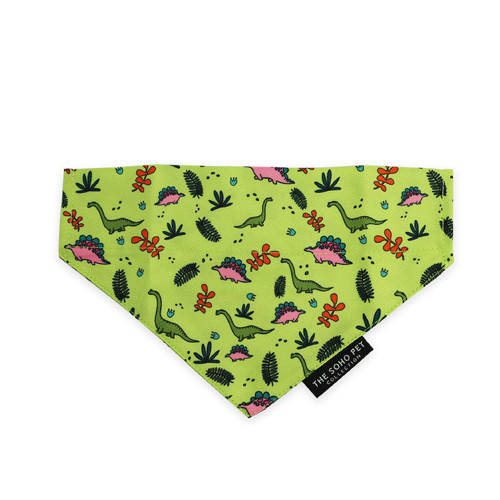 Ancol Dino & Ice Cream Bandana Set