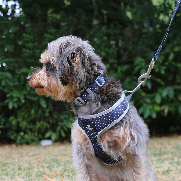 Ancol Polka Dot Patterned Collar