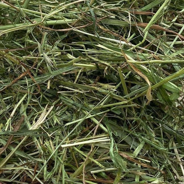 Fearns Farm Premium Dried Grass