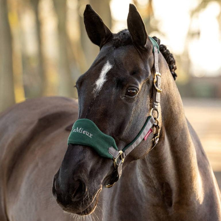 The LeMieux Vogue Fleece Headcollar with Leadrope in Spruce#Spruce