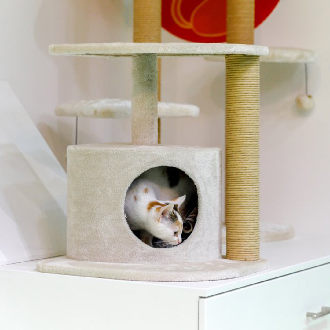 PetFace Corner Cat Scratcher