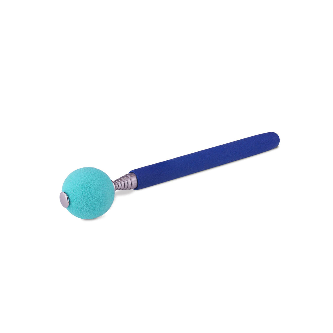 Coachi Dog Target Stick