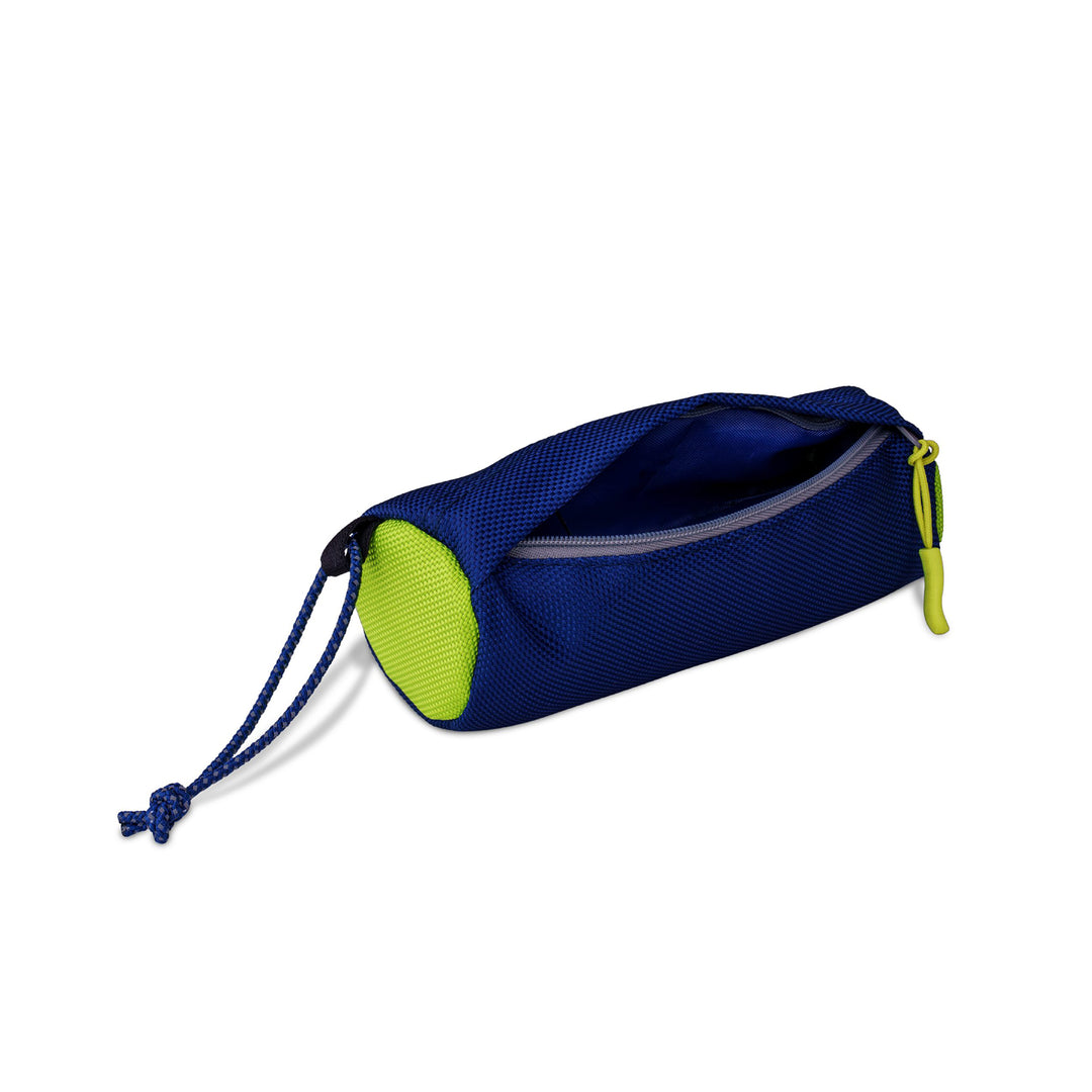 Coachi Dog Fetch & Reward