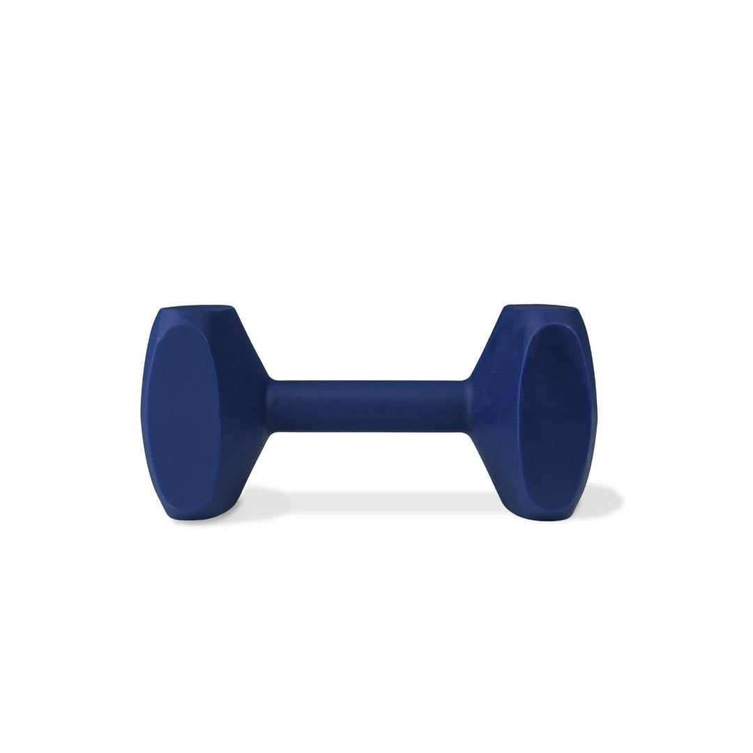 Coachi Dog Training Dumbbell