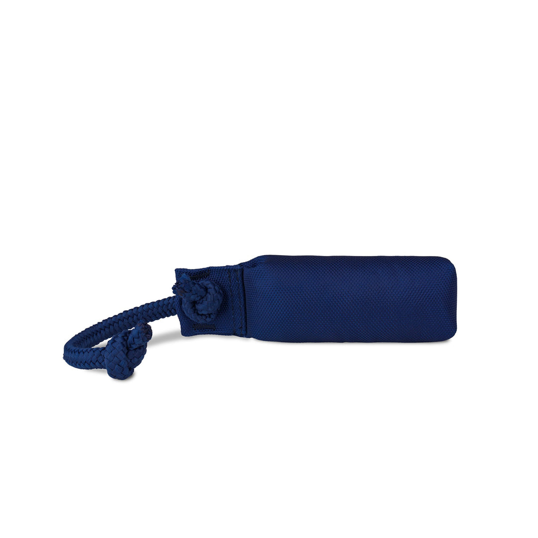 Coachi Dog Training Dummy