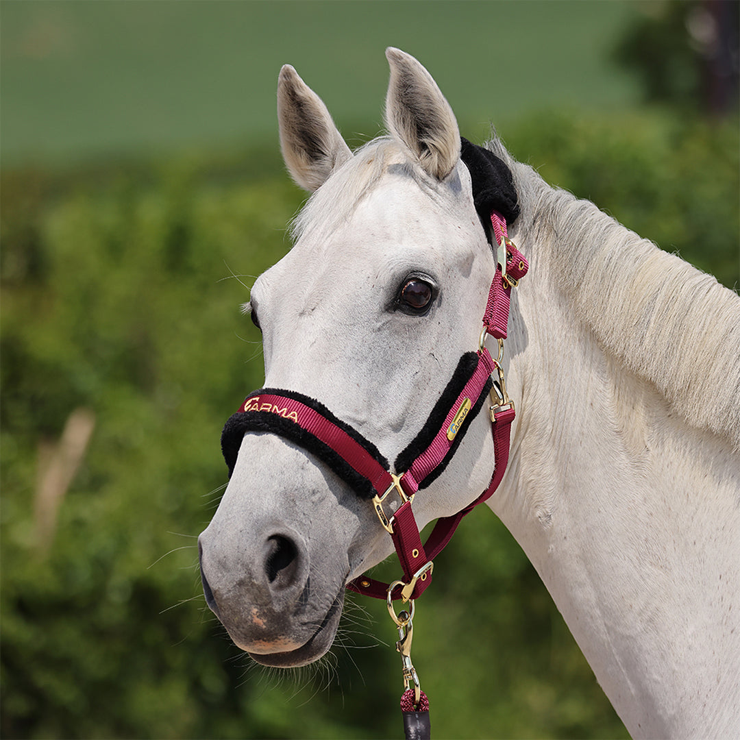 ARMA Logo Headcollar & Lead Rope