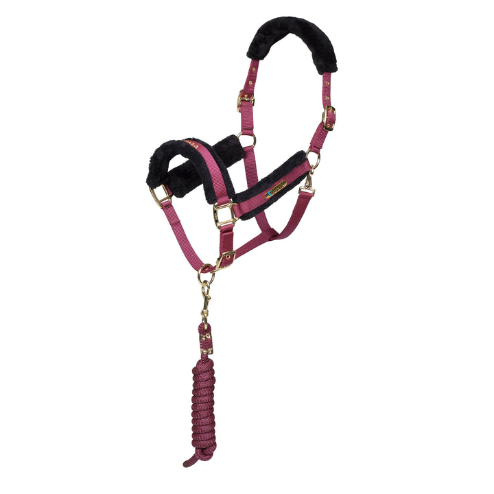 ARMA Logo Headcollar & Lead Rope