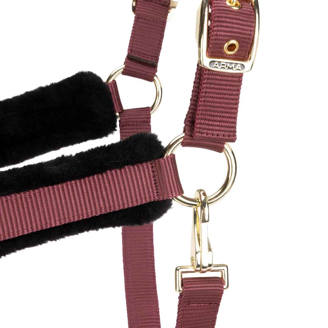 ARMA Logo Headcollar & Lead Rope