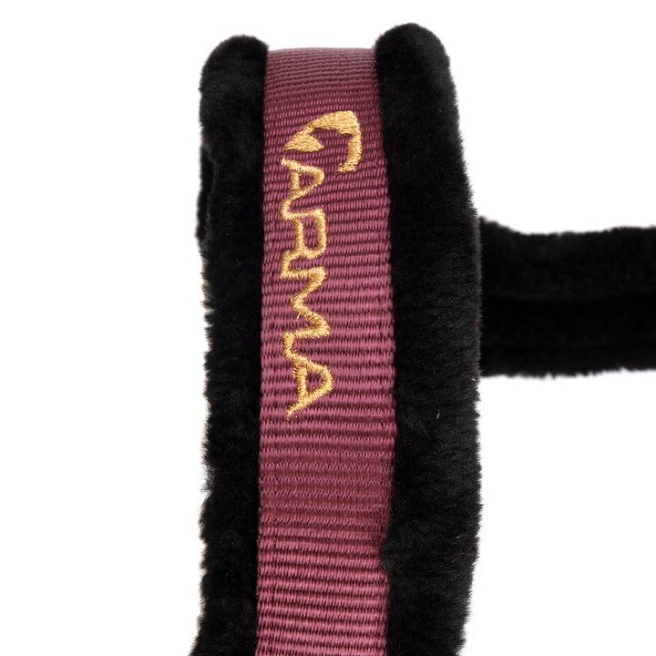 ARMA Logo Headcollar & Lead Rope