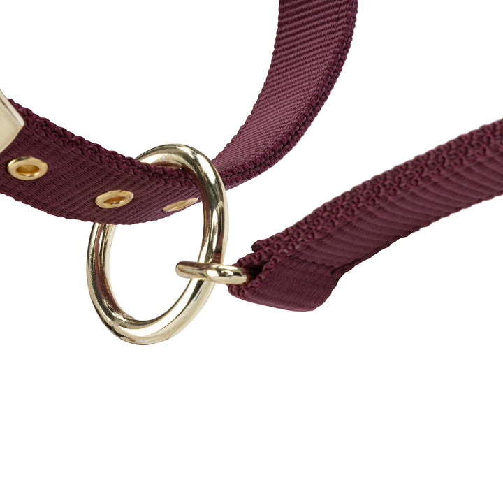 ARMA Logo Headcollar & Lead Rope