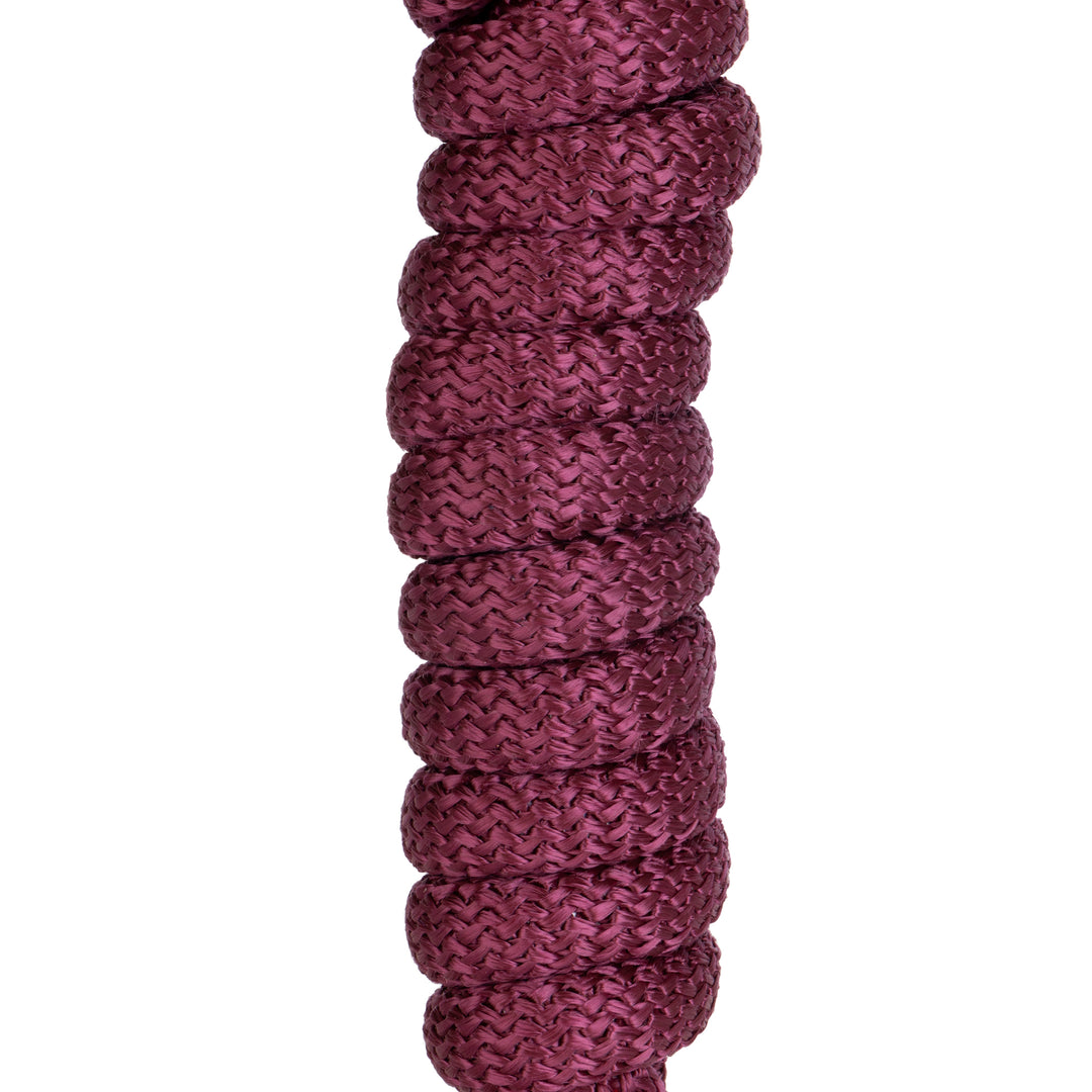 ARMA Logo Headcollar & Lead Rope