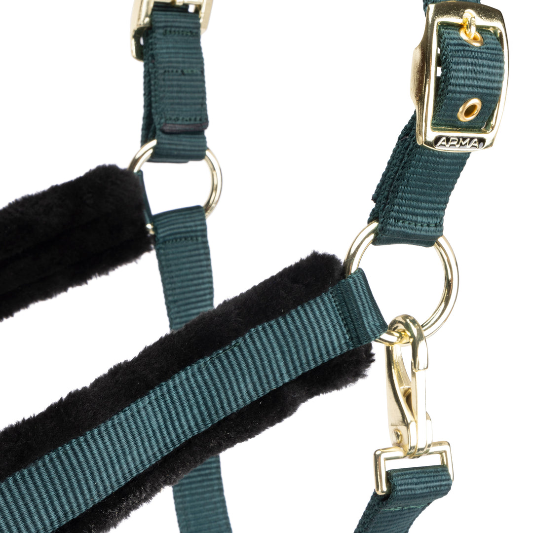 ARMA Logo Headcollar & Lead Rope