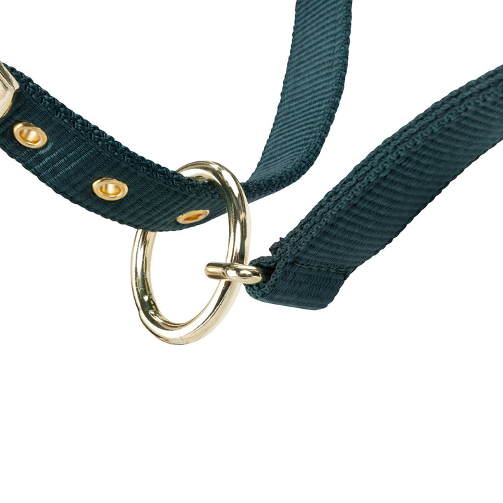 ARMA Logo Headcollar & Lead Rope
