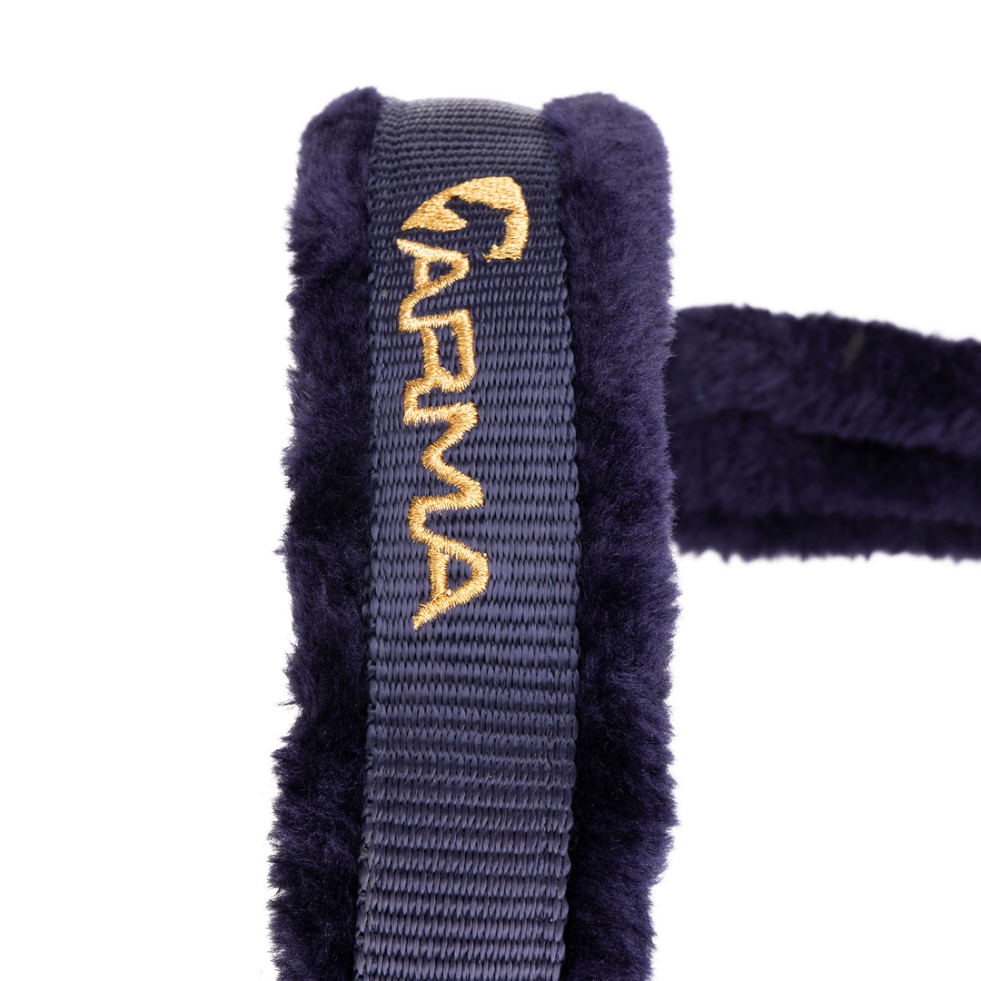 ARMA Logo Headcollar & Lead Rope