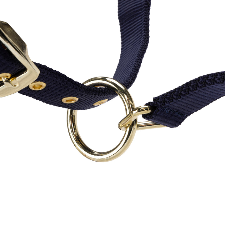 ARMA Logo Headcollar & Lead Rope