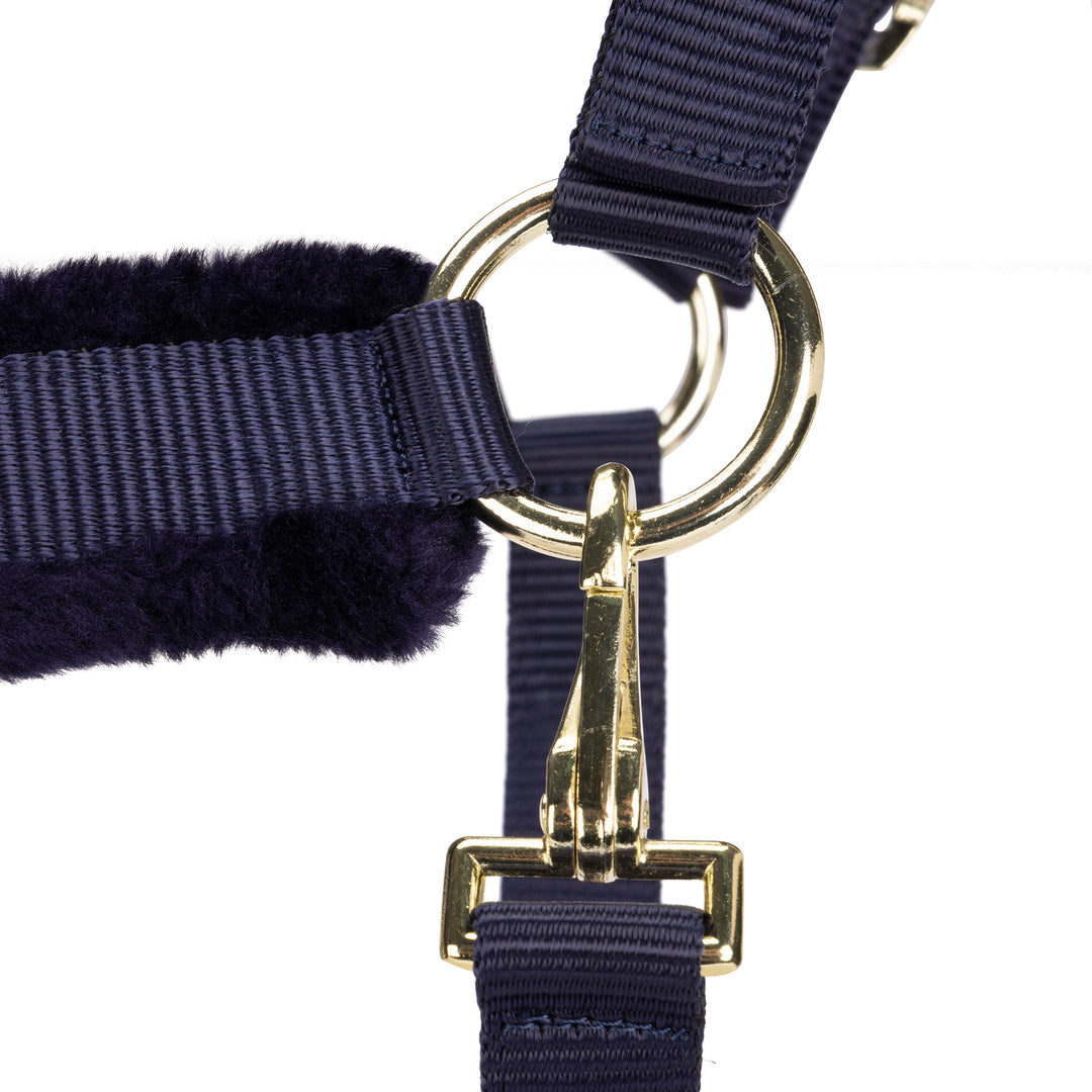 ARMA Logo Headcollar & Lead Rope