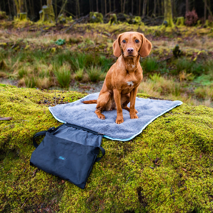Henry Wag Easy-Roll Travel Pet Bed