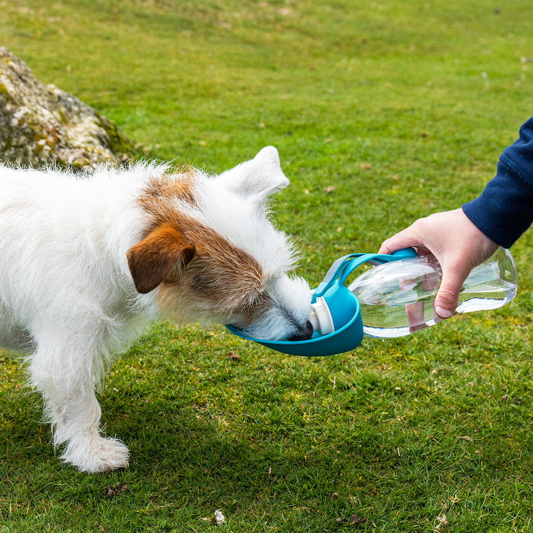 Henry Wag Water Bottle with Leaf Bowl