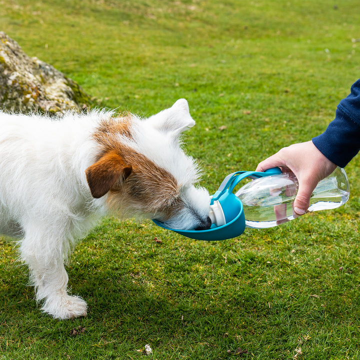 Henry Wag Water Bottle with Leaf Bowl
