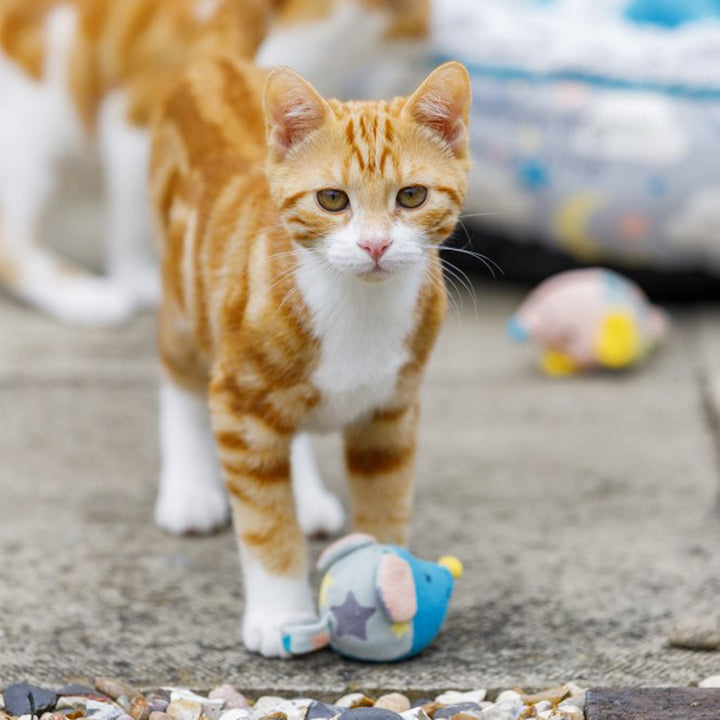 PetFace Little Petface Bell Mouse Cat Toy