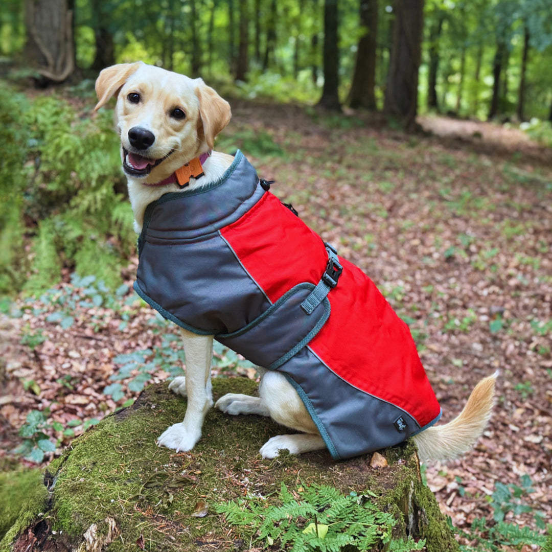 Henry Wag Waterproof Dog Coat