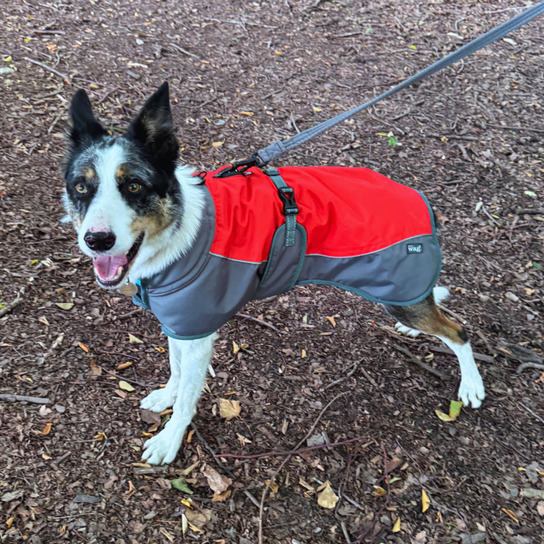 Henry Wag Waterproof Dog Coat