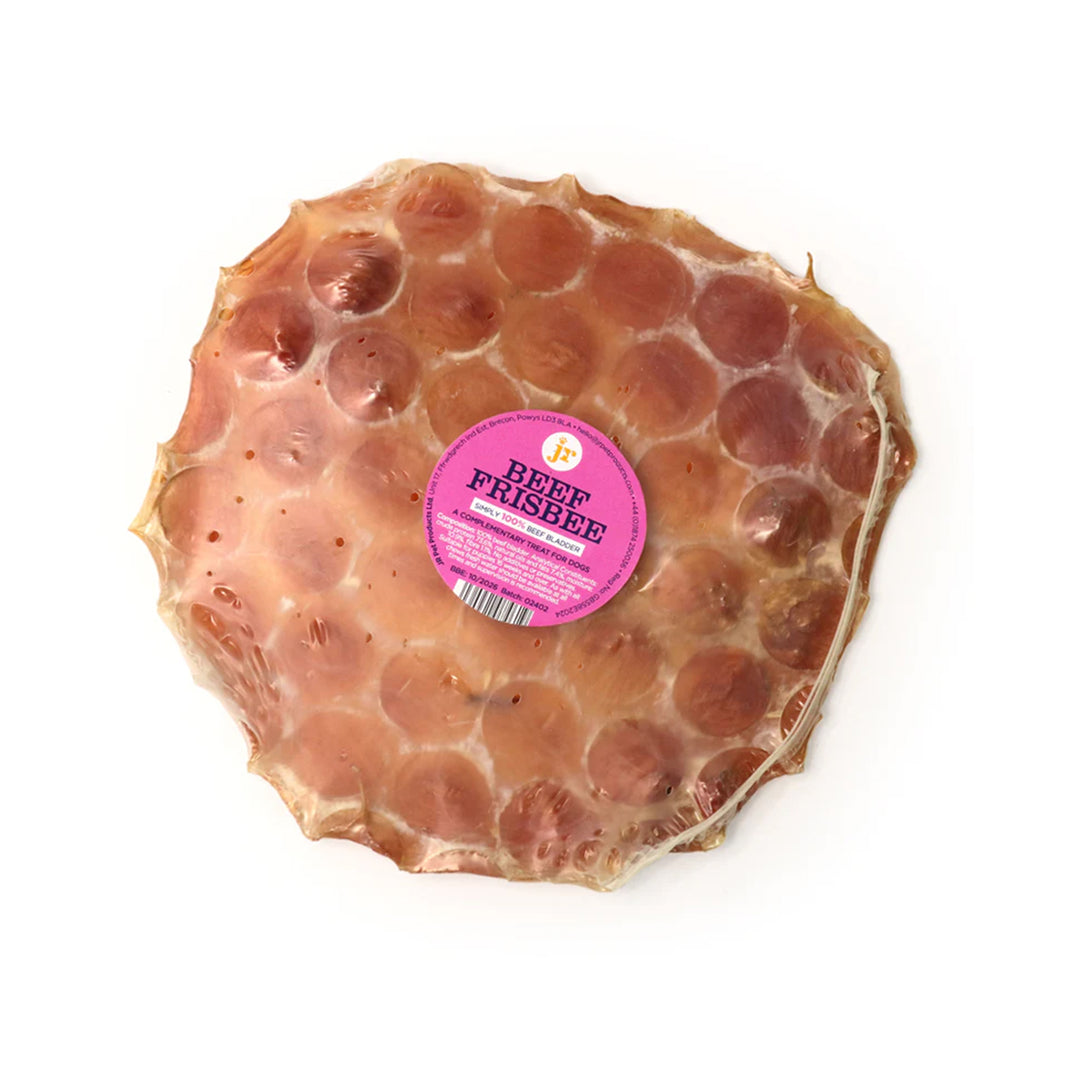 JR Pet Beef Frisbee
