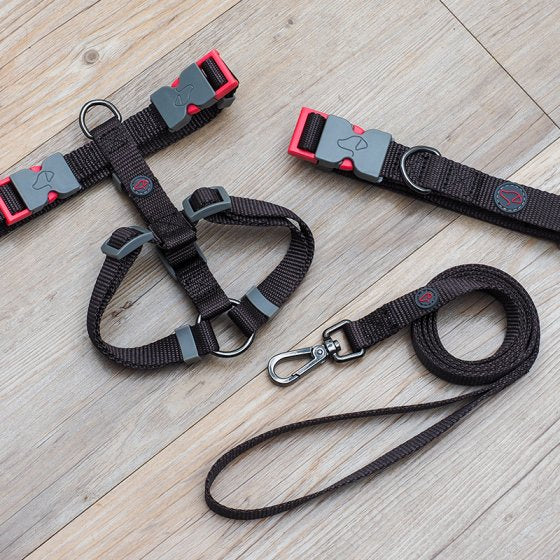 Zoon Dog Collar