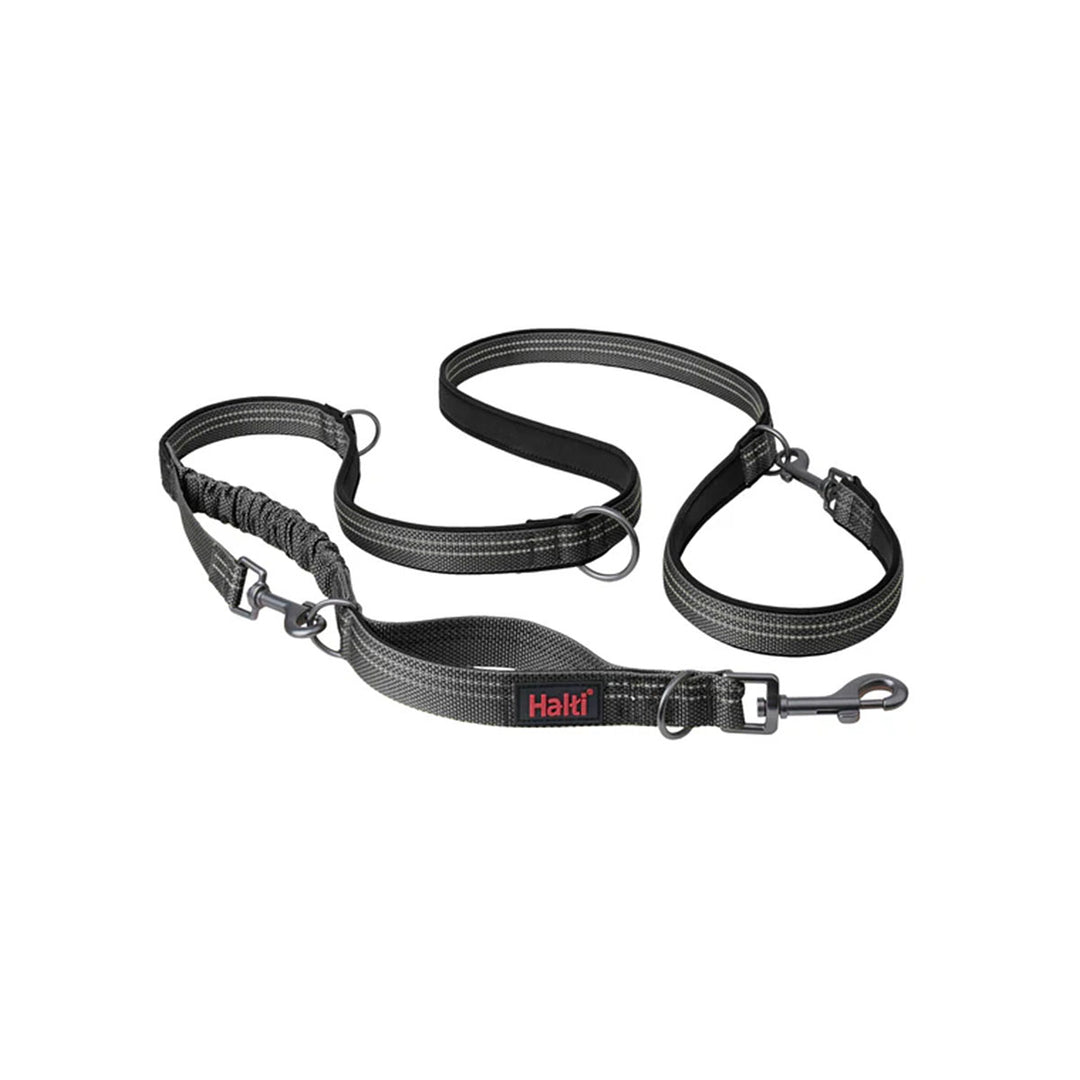 Halti Anatomy Multi Lead