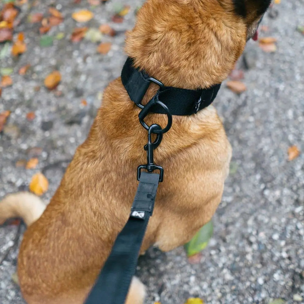 Non-Stop Dog Wear Security Dog Leash