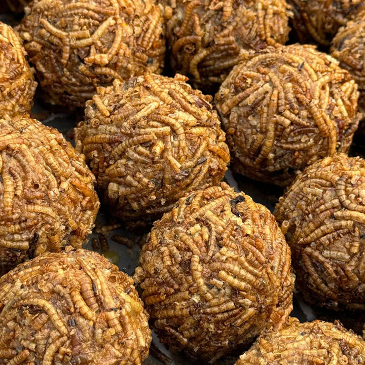Winston Wild Mealworm Fat Balls (Carton)