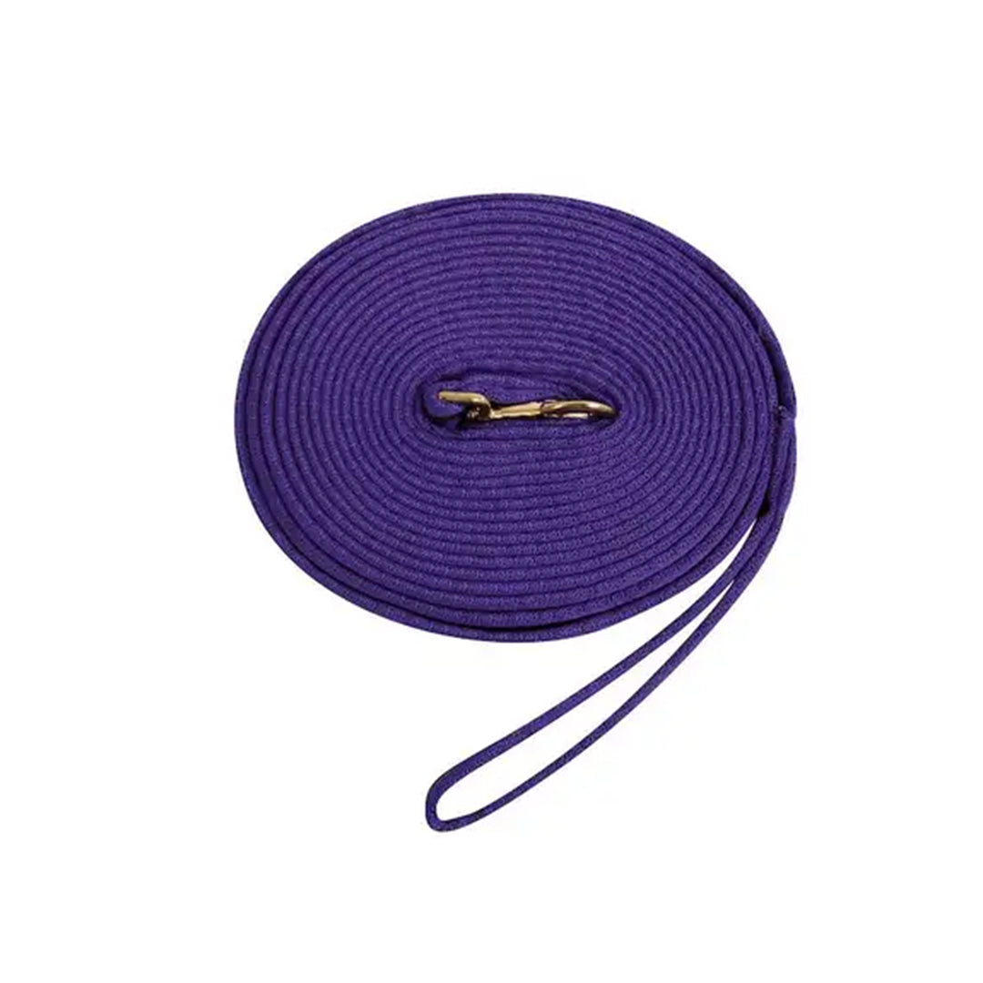 Kincade Two Tone 8M Padded Lunging Rein