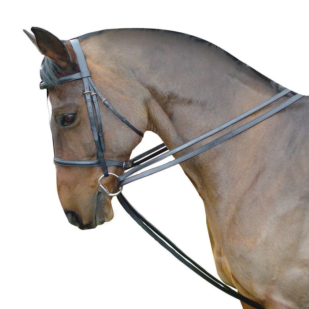 Kincade Leather Draw Reins Set