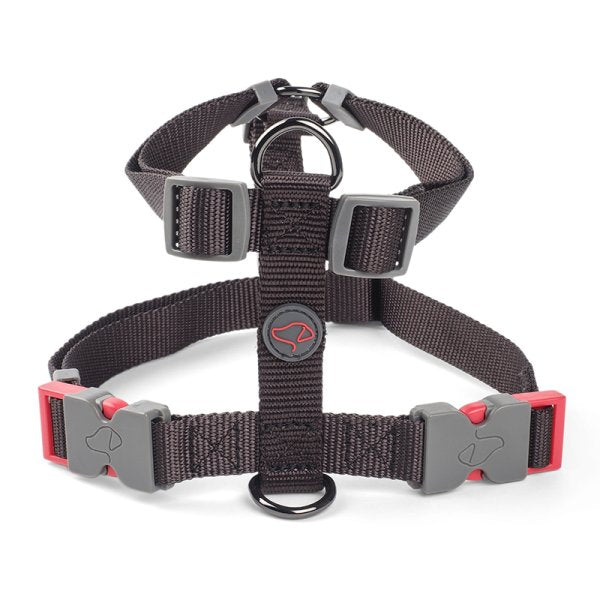 Zoon Dog Harness