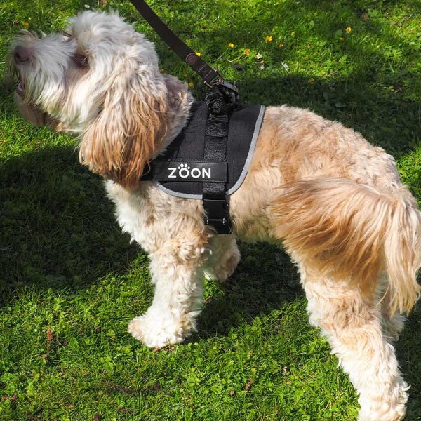 Zoon Advanced Slip-on Dog Harness