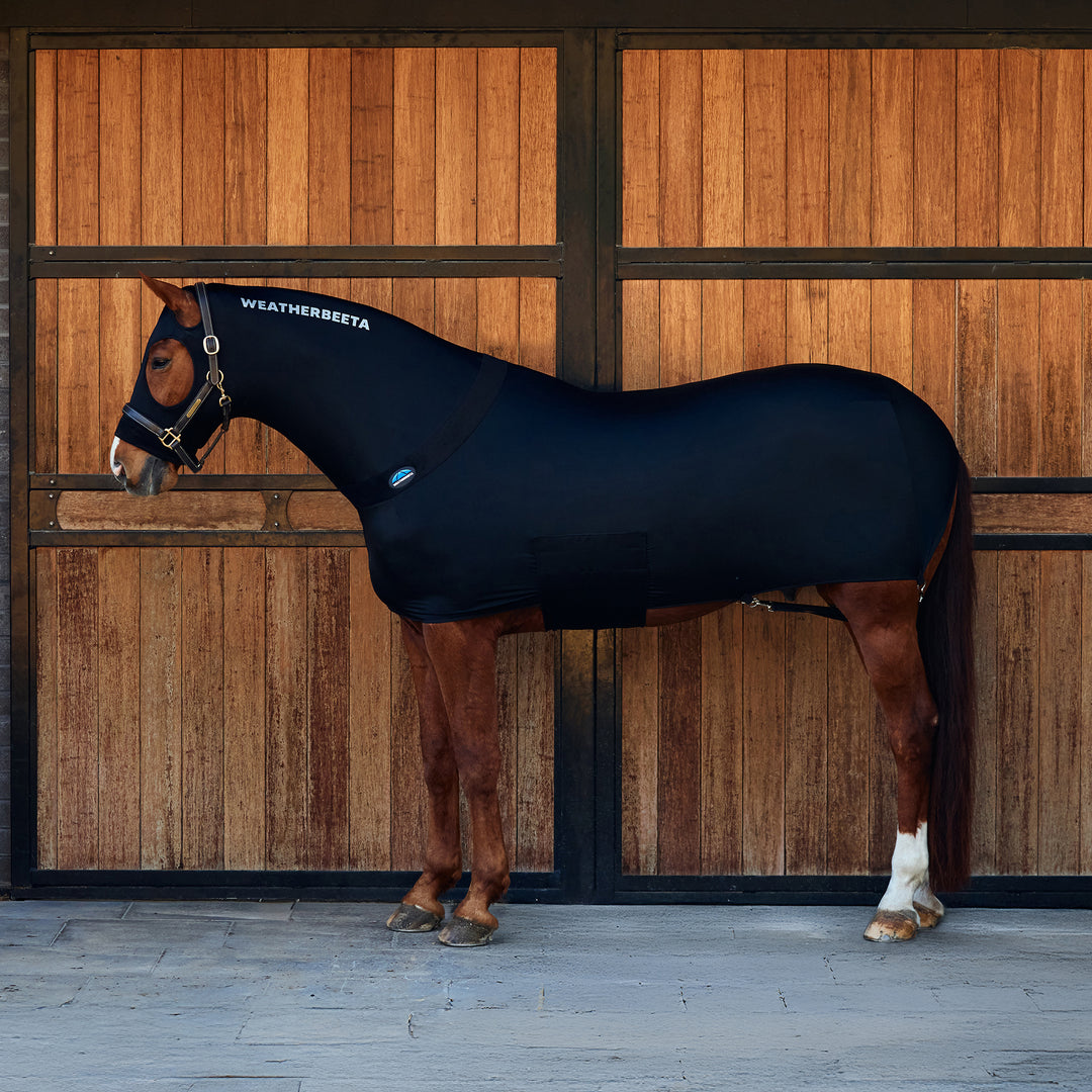 Weatherbeeta Stretch Rug