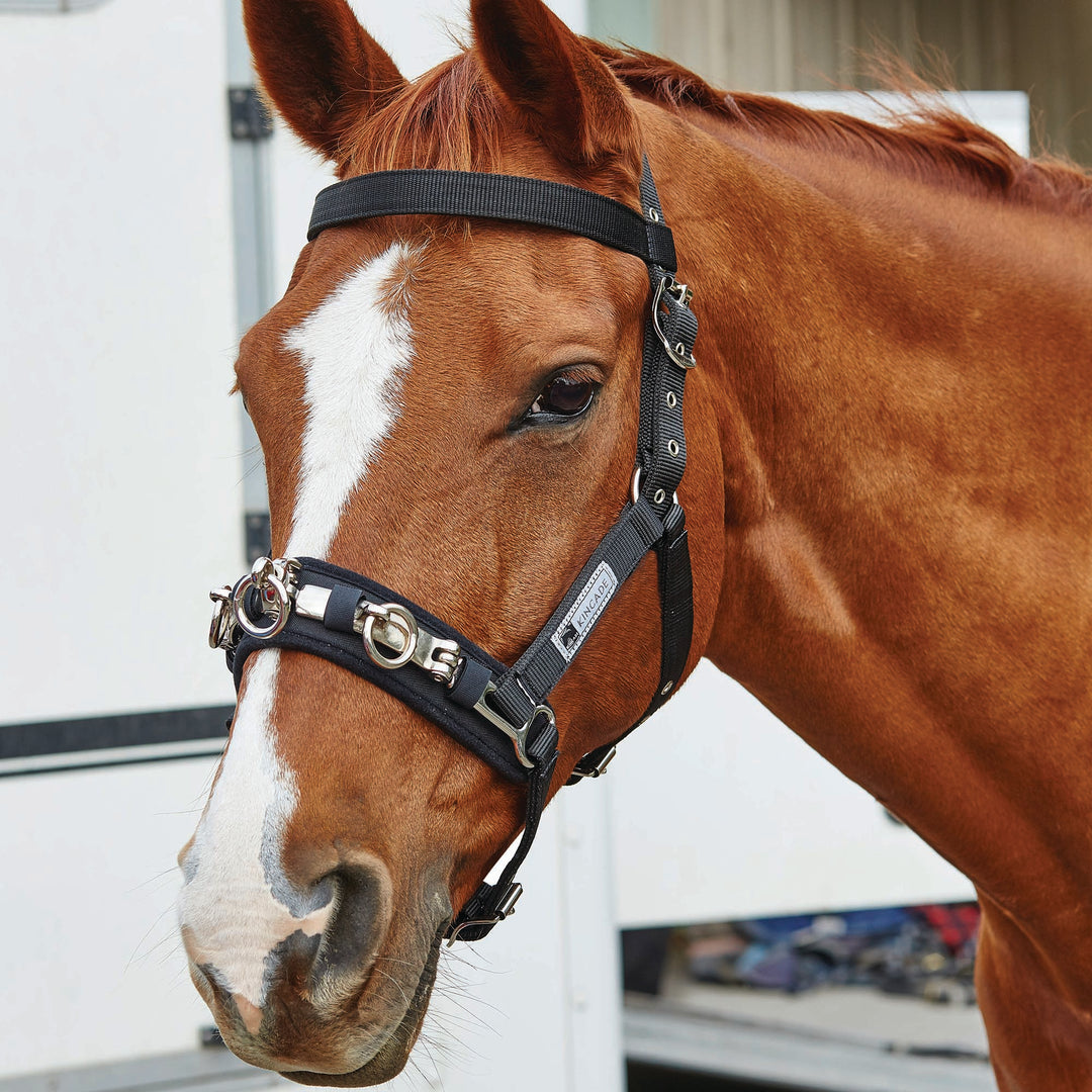 Kincade Coordinate Lunge Cavesson