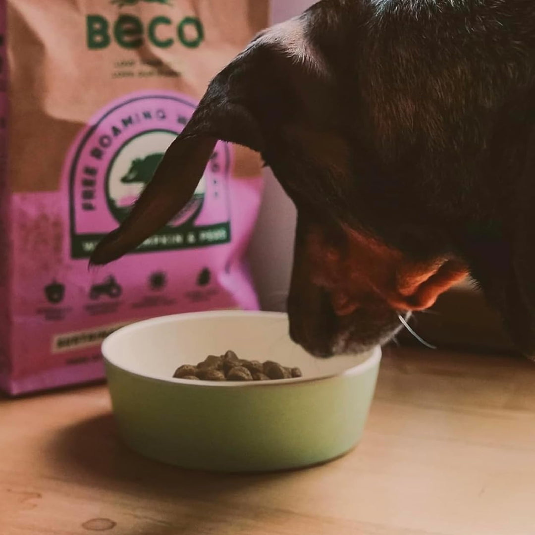 Dog eating from a green bowl with a Beco pet food box in the background