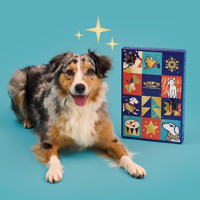 Lily's Kitchen Dog Christmas Advent Calendar