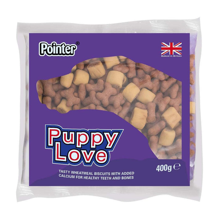 Pointer Puppy Love